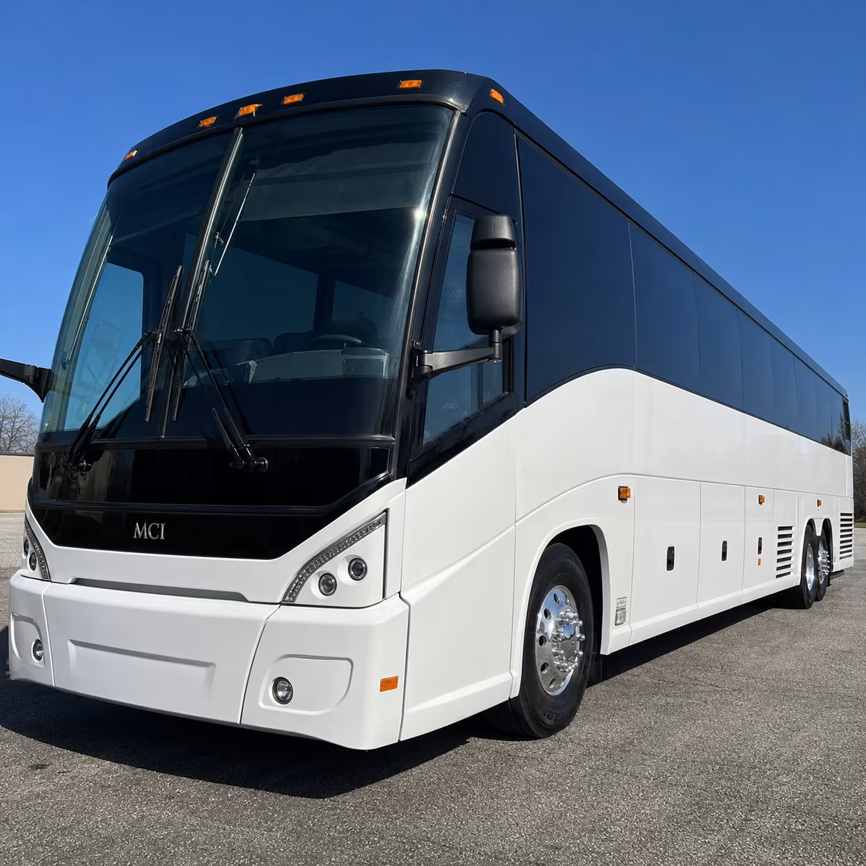 school group buses for warren trips to the detroit zoo and belle isle